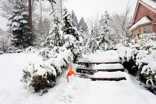 Красивый сад зимой