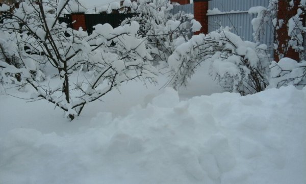 Снега навалило