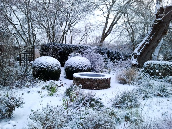 Сад зимой