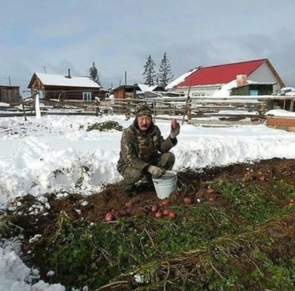 Огород на севере России