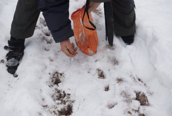 Посев семян под снег