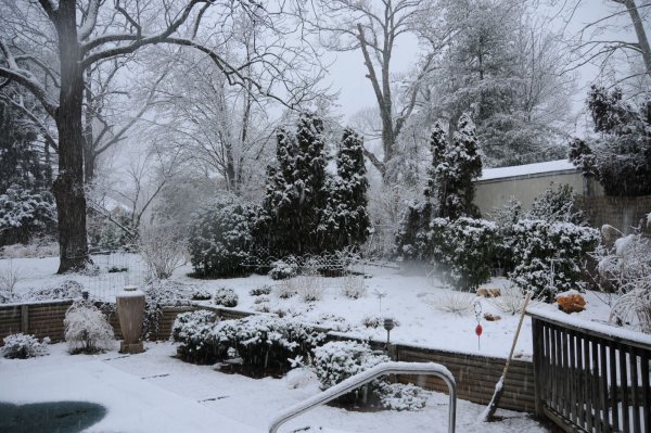 Зимний ландшафт