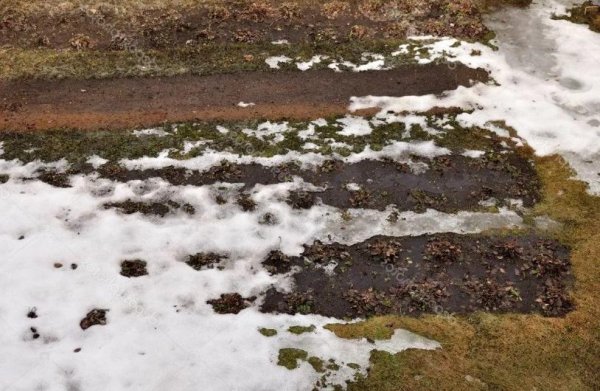 Оттаивание почвы весной