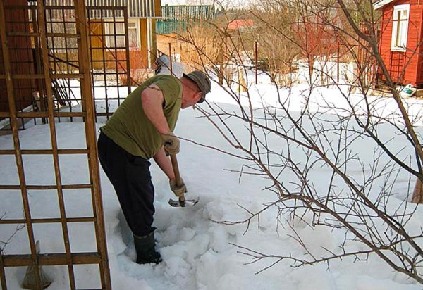 Снегозадержание на участке