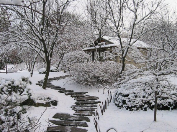 Зима в саду