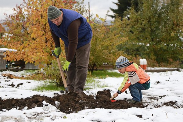 Сад и огород в ноябре