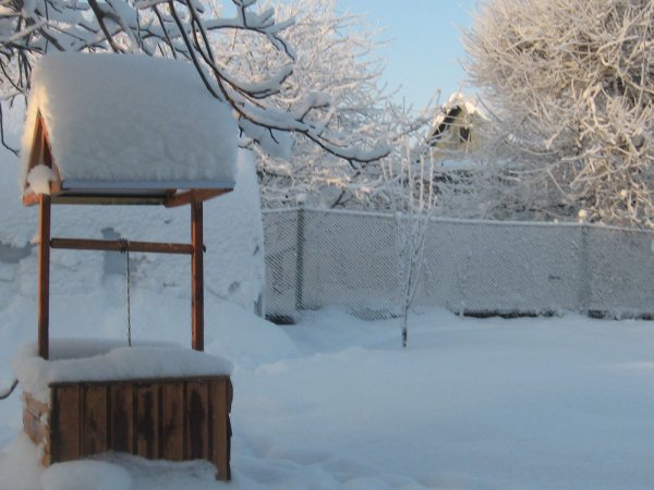 Огород под снегом