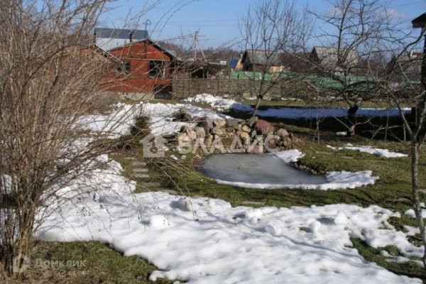 Сад в апреле