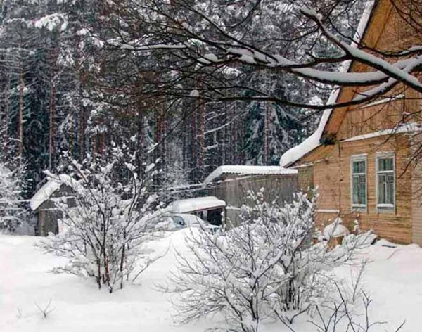 Участок на даче зимой