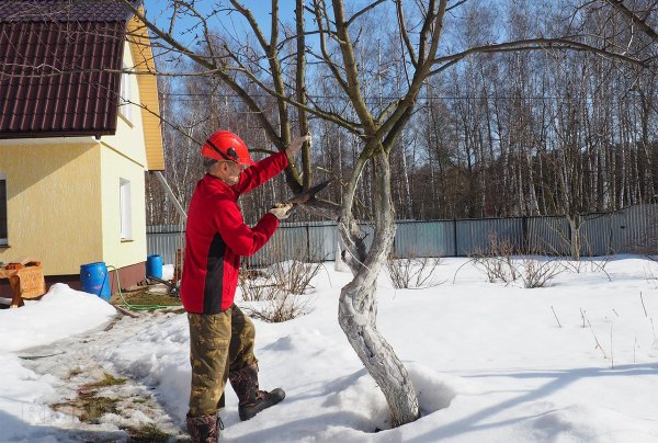 Дачный участок зимой