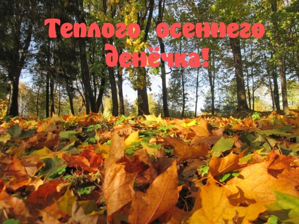 Здоровая осень