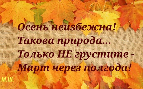 Осенние каникулы 2021