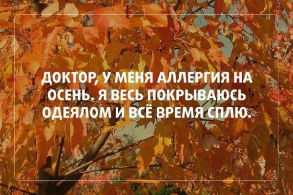 Анекдоты про осень в картинках