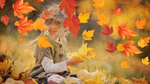 Краски осени стихи