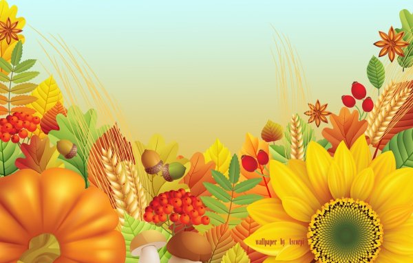 Осенние цветы уголок