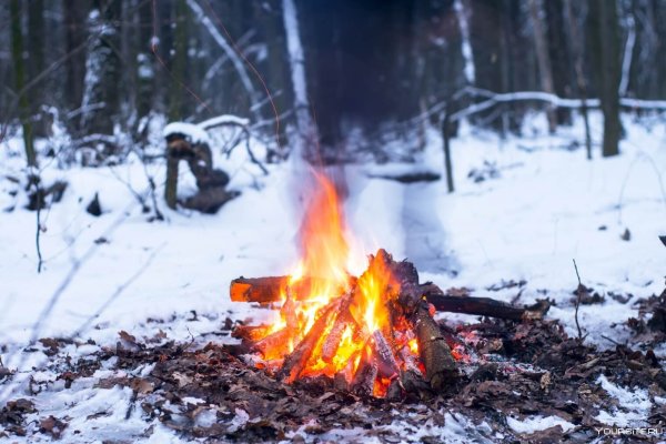 Костер в зимнем лесу