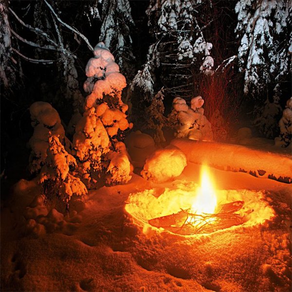 Костер в зимнем лесу