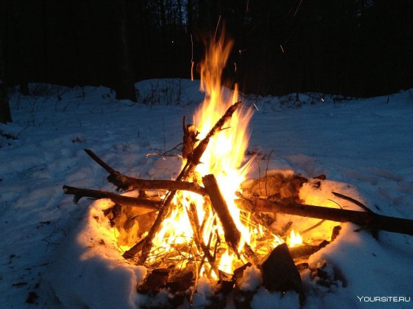 Костер в зимнем лесу