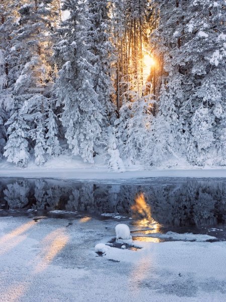 Солнечный зимний день