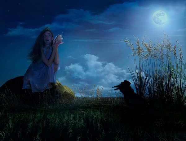 Ночь Луна девушка
