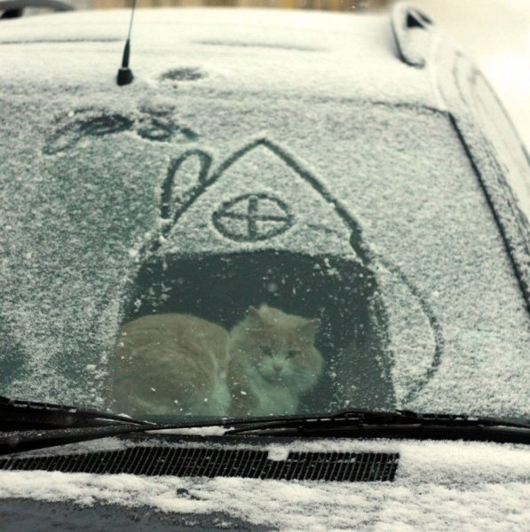 Снег на стекле машины