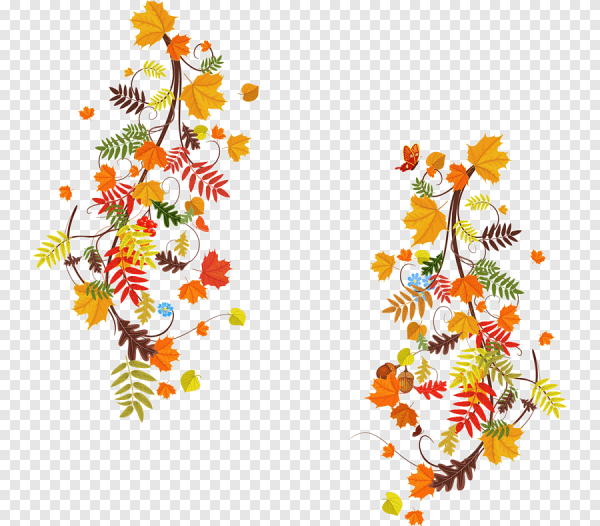 Осенние узоры на прозрачном фоне