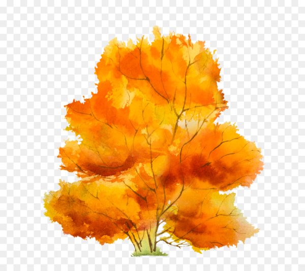 Куст осенний для детей