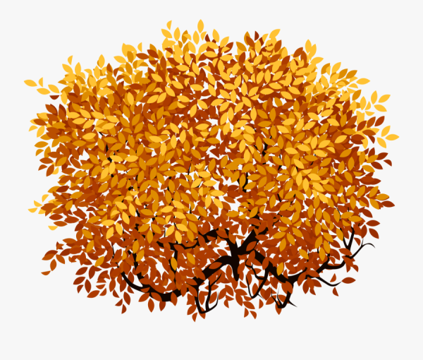 Осенний кустик