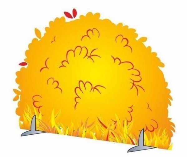 Куст осенний для детей