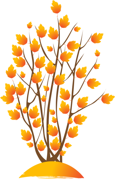 Ветка осеннего дерева