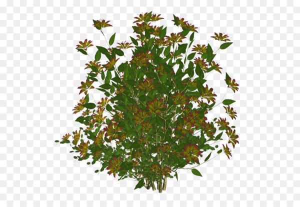 Осенние кусты для фотошопа