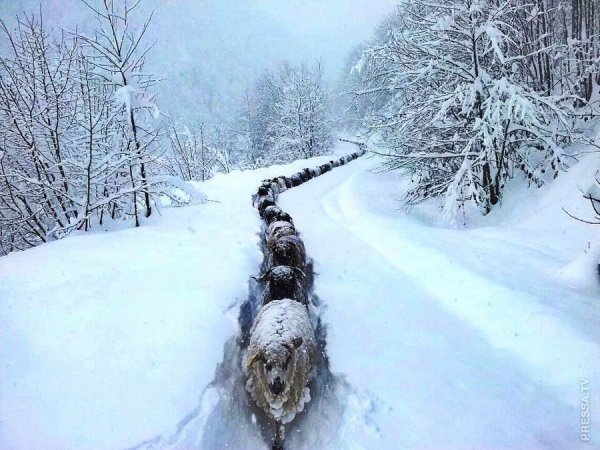 Приколы про зиму