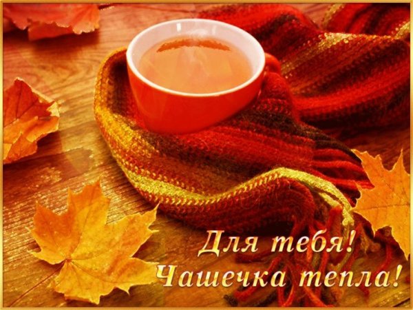 Чашечка тепла для тебя