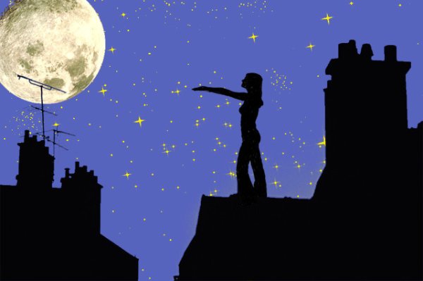 Лунатик на крыше