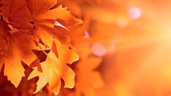 Осенний бал надпись