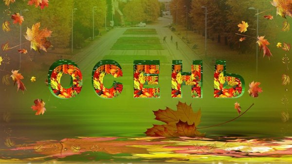 Футаж праздник осени в детском саду