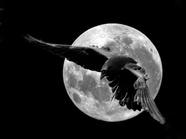 Ворон и Луна