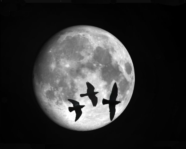 Полнолуние обои