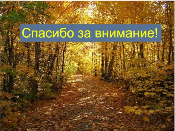 Спасибо за внимание осень