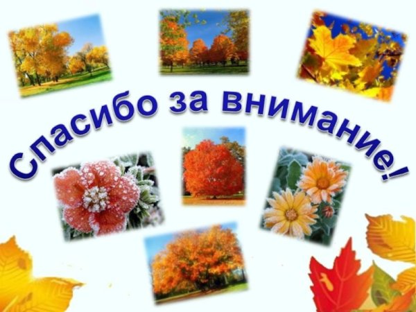 Спасибо за внимание времена года