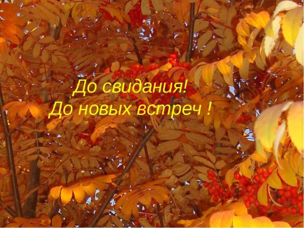 До новых встреч осенняя