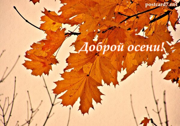 Желтые листья добрые пожелания