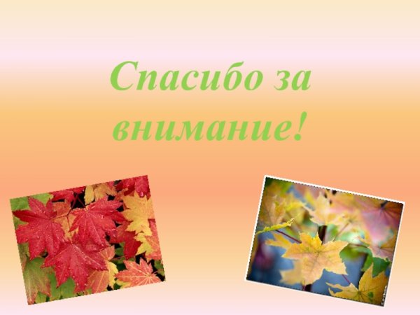Лист спасибо за внимание