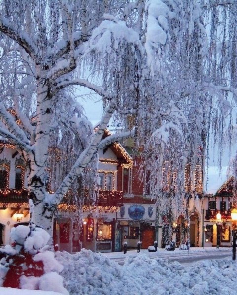 Зимний новогодний пейзаж