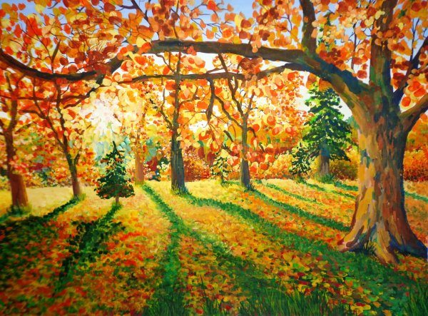 Сказочный осенний лес Полянка