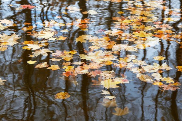 Осенние лужи