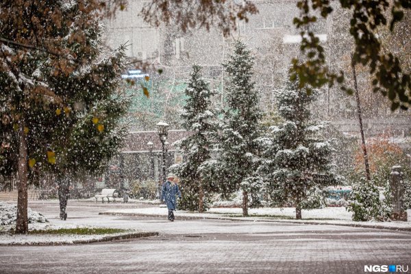 Снежное утро