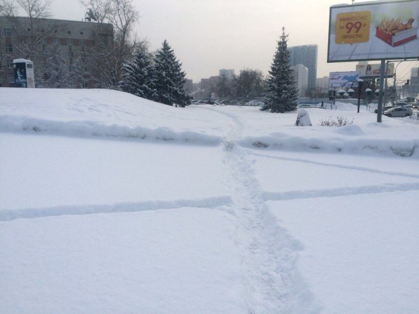 Новосибирск много снега