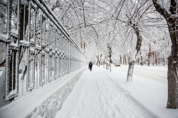 Заснеженный Новосибирск