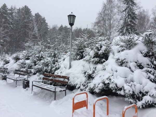 Снежная зима в Новосибирске